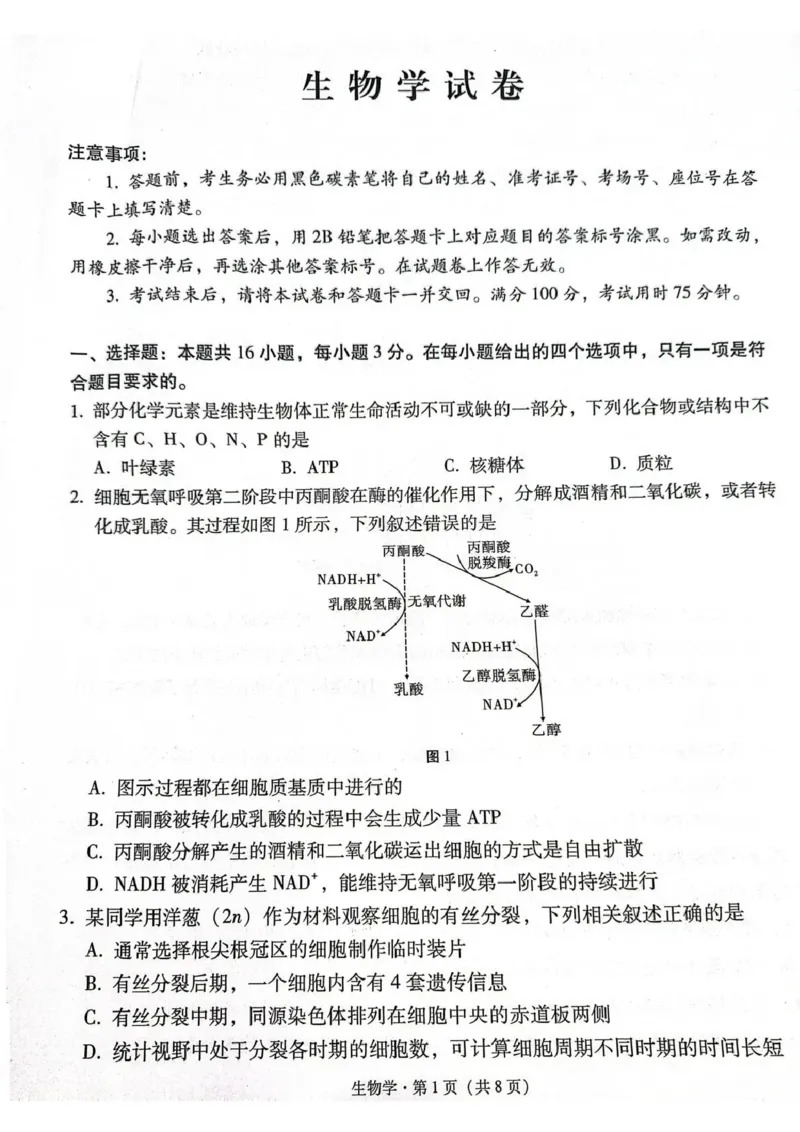 西南名校联盟2026届&ldquo;3+3+3&rdquo;高考备考诊断性联考（三）生物_2024-2026高三（6-6月题库）_2026年04月高三试卷_260419西南名校联盟2026届3+3+3高三4月联考（全科）