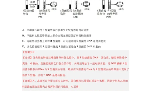易错点12遗传物质的发现实验-备战2023年高考生物考试易错题（新教材新高考）（解析版）_新高考复习资料_2023年新高考复习资料_专项复习_备战2023年高考生物考试易错题（新教材新高考）