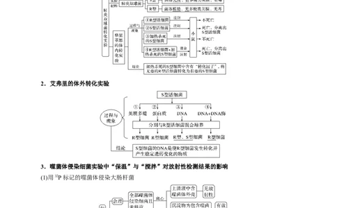 易错点12遗传物质的发现实验-备战2023年高考生物考试易错题（新教材新高考）（解析版）_新高考复习资料_2023年新高考复习资料_专项复习_备战2023年高考生物考试易错题（新教材新高考）