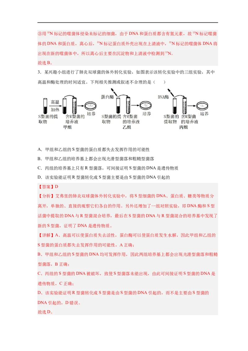 易错点12遗传物质的发现实验-备战2023年高考生物考试易错题（新教材新高考）（解析版）_新高考复习资料_2023年新高考复习资料_专项复习_备战2023年高考生物考试易错题（新教材新高考）