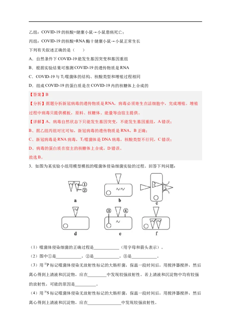 易错点12遗传物质的发现实验-备战2023年高考生物考试易错题（新教材新高考）（解析版）_新高考复习资料_2023年新高考复习资料_专项复习_备战2023年高考生物考试易错题（新教材新高考）
