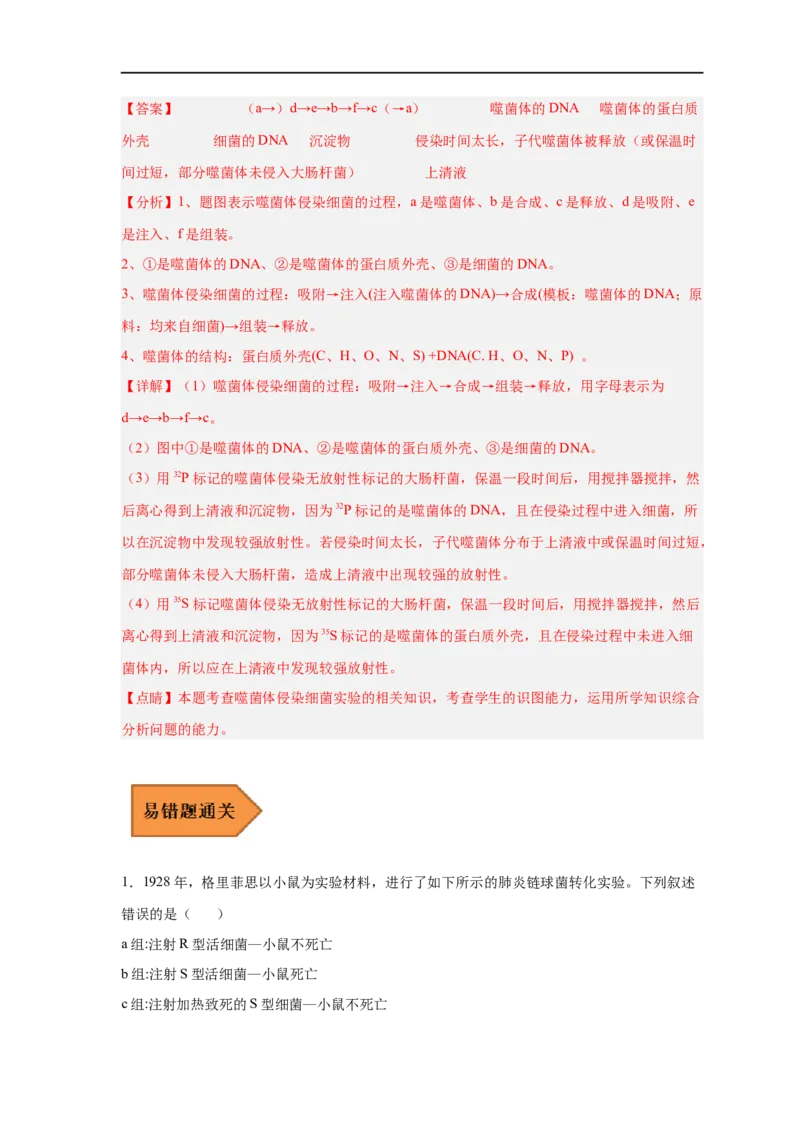 易错点12遗传物质的发现实验-备战2023年高考生物考试易错题（新教材新高考）（解析版）_新高考复习资料_2023年新高考复习资料_专项复习_备战2023年高考生物考试易错题（新教材新高考）