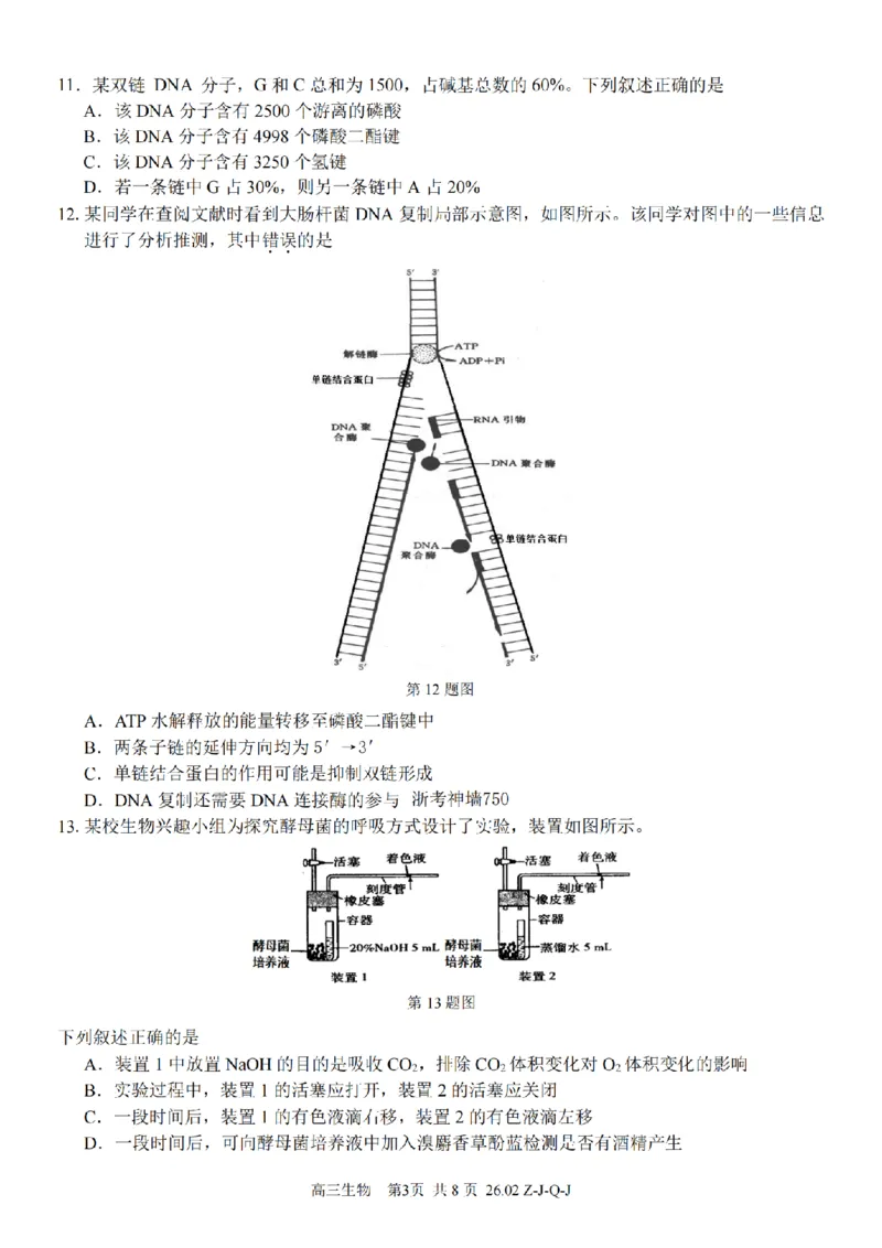 生物卷-2602浙南七彩精诚金兰_2024-2026高三（6-6月题库）_2026年03月高三试卷_260301浙江省2026届高三2月返校考七彩阳光、浙南名校、精诚联盟、金兰教育（全科）