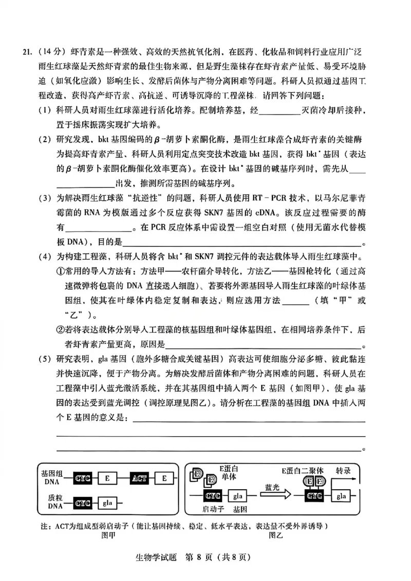 生物试题卷--广西壮族自治区柳州市2026届高三年级高考适应性考试_2024-2026高三（6-6月题库）_2026年04月高三试卷_260417广西壮族自治区柳州市2026届高三年级高考适应性考试