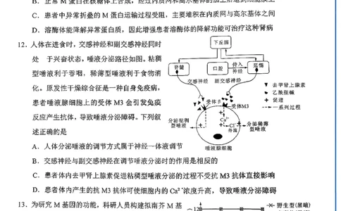 生物试卷-福建省莆田市2026届高中毕业班第二次质量调研测试试卷(莆田二检)_2024-2026高三（6-6月题库）_2026年03月高三试卷