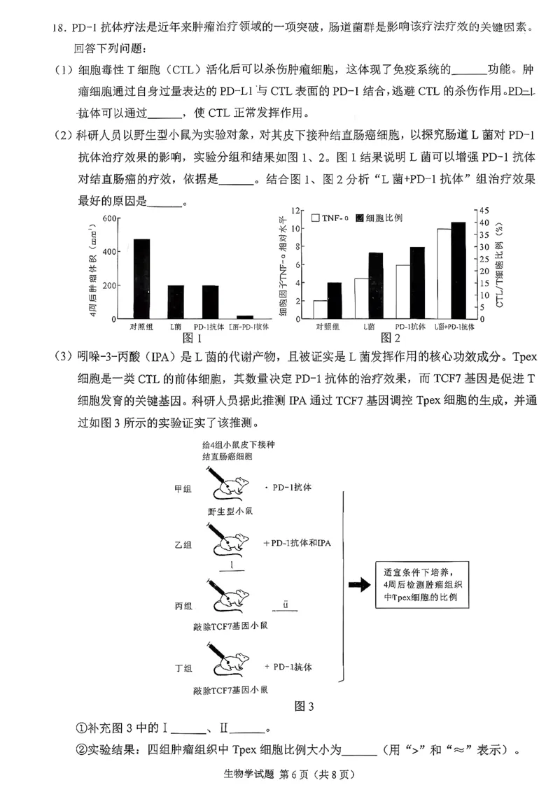 生物试卷-福建省莆田市2026届高中毕业班第二次质量调研测试试卷(莆田二检)_2024-2026高三（6-6月题库）_2026年03月高三试卷