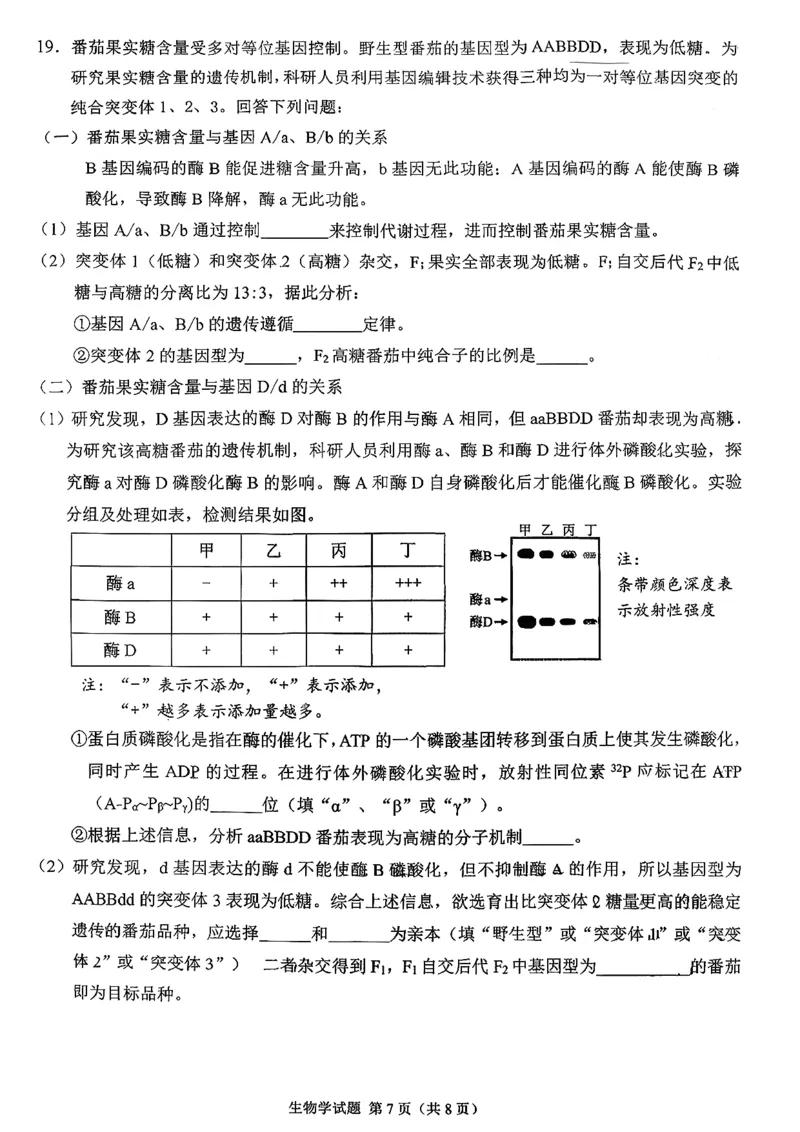 生物试卷-福建省莆田市2026届高中毕业班第二次质量调研测试试卷(莆田二检)_2024-2026高三（6-6月题库）_2026年03月高三试卷