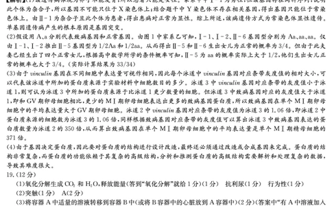 湖南省新高考教学教研联盟（长郡二十校联盟）2026届高三年级下学期3月联考生物学试卷答案_2024-2026高三（6-6月题库）_2026年03月高三试卷
