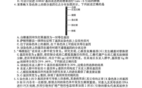 生物试题_2024-2026高三（6-6月题库）_2026年03月高三试卷_2603222026届湖南省天一湖南湘一名校联盟高三下学期二模（全科）_2026届湖南省湖南湘一名校联盟高三下学期二模生物