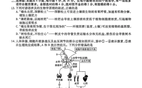 生物试题_2024-2026高三（6-6月题库）_2026年03月高三试卷_2603222026届湖南省天一湖南湘一名校联盟高三下学期二模（全科）_2026届湖南省湖南湘一名校联盟高三下学期二模生物