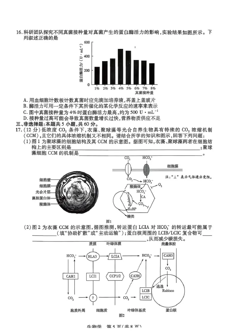 生物试题_2024-2026高三（6-6月题库）_2026年03月高三试卷_2603222026届湖南省天一湖南湘一名校联盟高三下学期二模（全科）_2026届湖南省湖南湘一名校联盟高三下学期二模生物