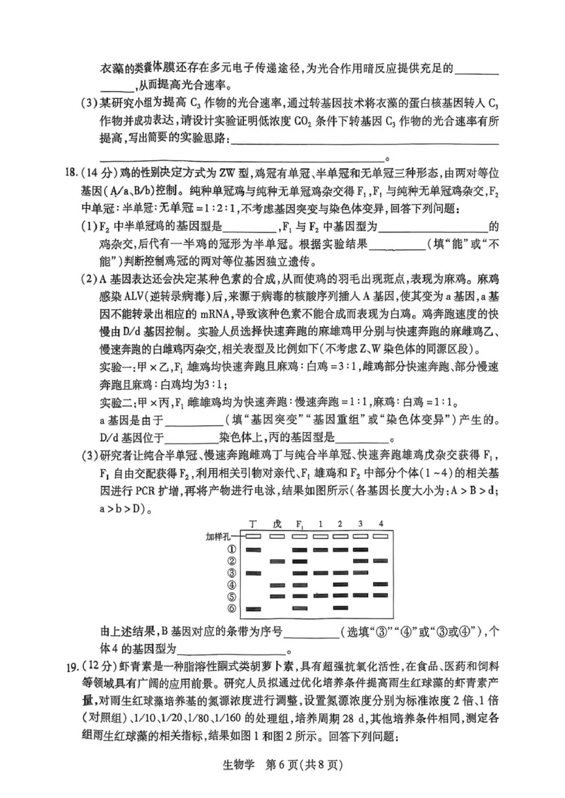 生物试题_2024-2026高三（6-6月题库）_2026年03月高三试卷_2603222026届湖南省天一湖南湘一名校联盟高三下学期二模（全科）_2026届湖南省湖南湘一名校联盟高三下学期二模生物
