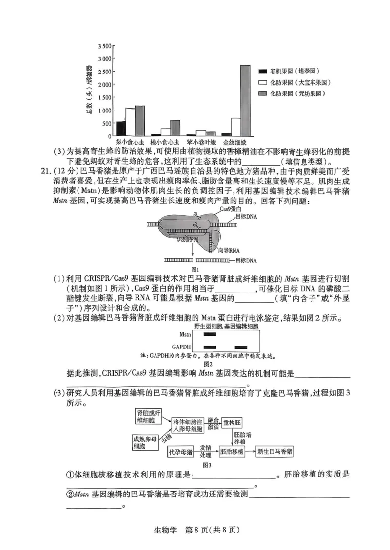 生物试题_2024-2026高三（6-6月题库）_2026年03月高三试卷_2603222026届湖南省天一湖南湘一名校联盟高三下学期二模（全科）_2026届湖南省湖南湘一名校联盟高三下学期二模生物