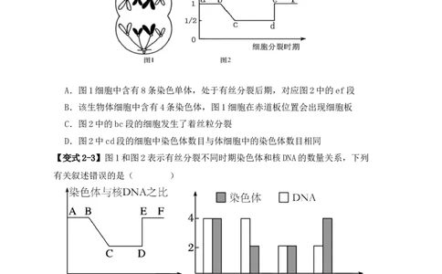 易错点06细胞增殖的&ldquo;四个&rdquo;陷阱（原卷版）_新高考复习资料_2024年新高考复习资料_❤专项复习资料_完备战2024年高考生物考试易错题（新高考专用）