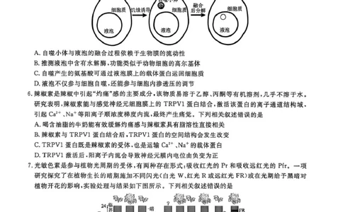 辽宁名校联盟2026届高三下学期4月第二次模拟考试生物试题生物试题_2024-2026高三（6-6月题库）_2026年04月高三试卷_260410辽宁名校联盟2025-2026学年高三下学期4月模拟
