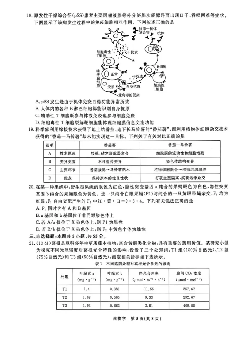 辽宁名校联盟2026届高三下学期4月第二次模拟考试生物试题生物试题_2024-2026高三（6-6月题库）_2026年04月高三试卷_260410辽宁名校联盟2025-2026学年高三下学期4月模拟