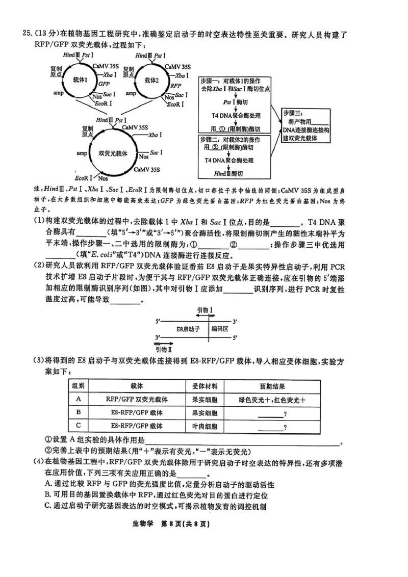 辽宁名校联盟2026届高三下学期4月第二次模拟考试生物试题生物试题_2024-2026高三（6-6月题库）_2026年04月高三试卷_260410辽宁名校联盟2025-2026学年高三下学期4月模拟