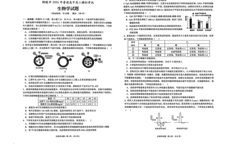 安徽省铜陵、黄山、宣城（三市二模）2026届高三4月份质量检测（全）-生物试题_2024-2026高三（6-6月题库）_2026年04月高三试卷