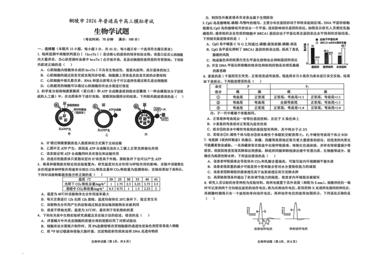 安徽省铜陵、黄山、宣城（三市二模）2026届高三4月份质量检测（全）-生物试题_2024-2026高三（6-6月题库）_2026年04月高三试卷
