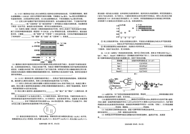 安徽省铜陵、黄山、宣城（三市二模）2026届高三4月份质量检测（全）-生物试题_2024-2026高三（6-6月题库）_2026年04月高三试卷