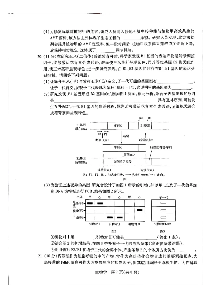 天一大联考河南高三开学素质评价生物试题_2024-2026高三（6-6月题库）_2026年03月高三试卷_260308天一大联考河南高三开学素质评价（全科）