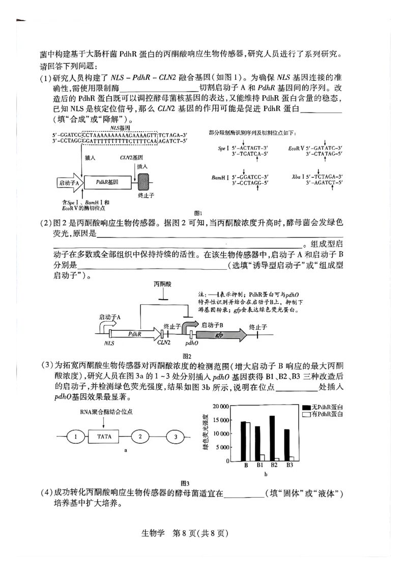 天一大联考河南高三开学素质评价生物试题_2024-2026高三（6-6月题库）_2026年03月高三试卷_260308天一大联考河南高三开学素质评价（全科）