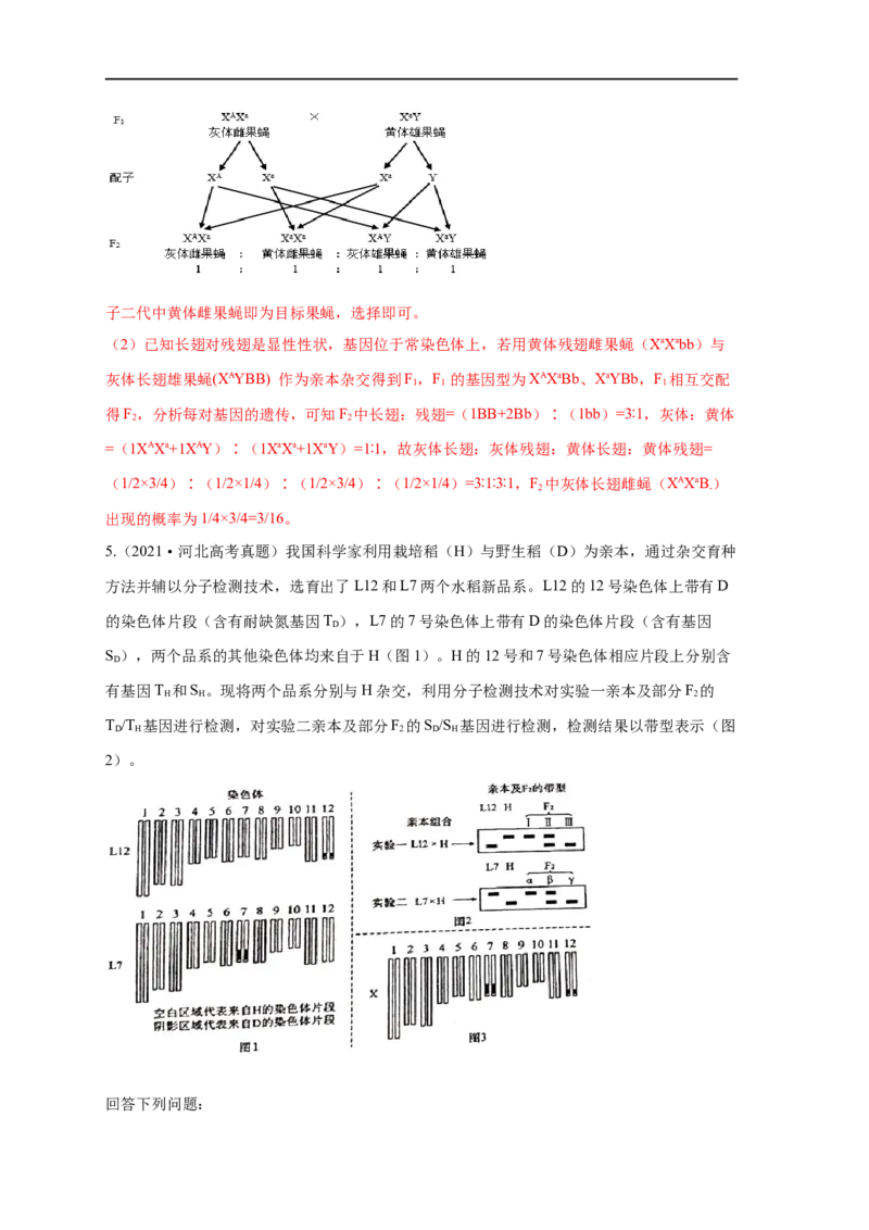 易错点11关于实验设计的遗传题-备战2023年高考生物考试易错题（全国通用）（解析版）_通用版（老高考）复习资料_2023年复习资料_专项复习_备战2023年高考生物考试易错题（全国通用）