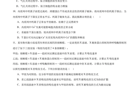 必修1模板检测卷（原卷版）_2025年新高考资料_一轮复习_2025年高考生物一轮复习考点通关卷（新高考通用）_必修1模板检测卷-2025年高考生物一轮复习考点通关卷（新高考通用）