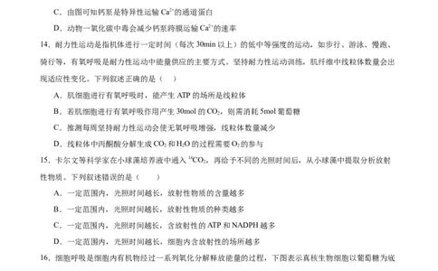 必修1模板检测卷（原卷版）_2025年新高考资料_一轮复习_2025年高考生物一轮复习考点通关卷（新高考通用）_必修1模板检测卷-2025年高考生物一轮复习考点通关卷（新高考通用）