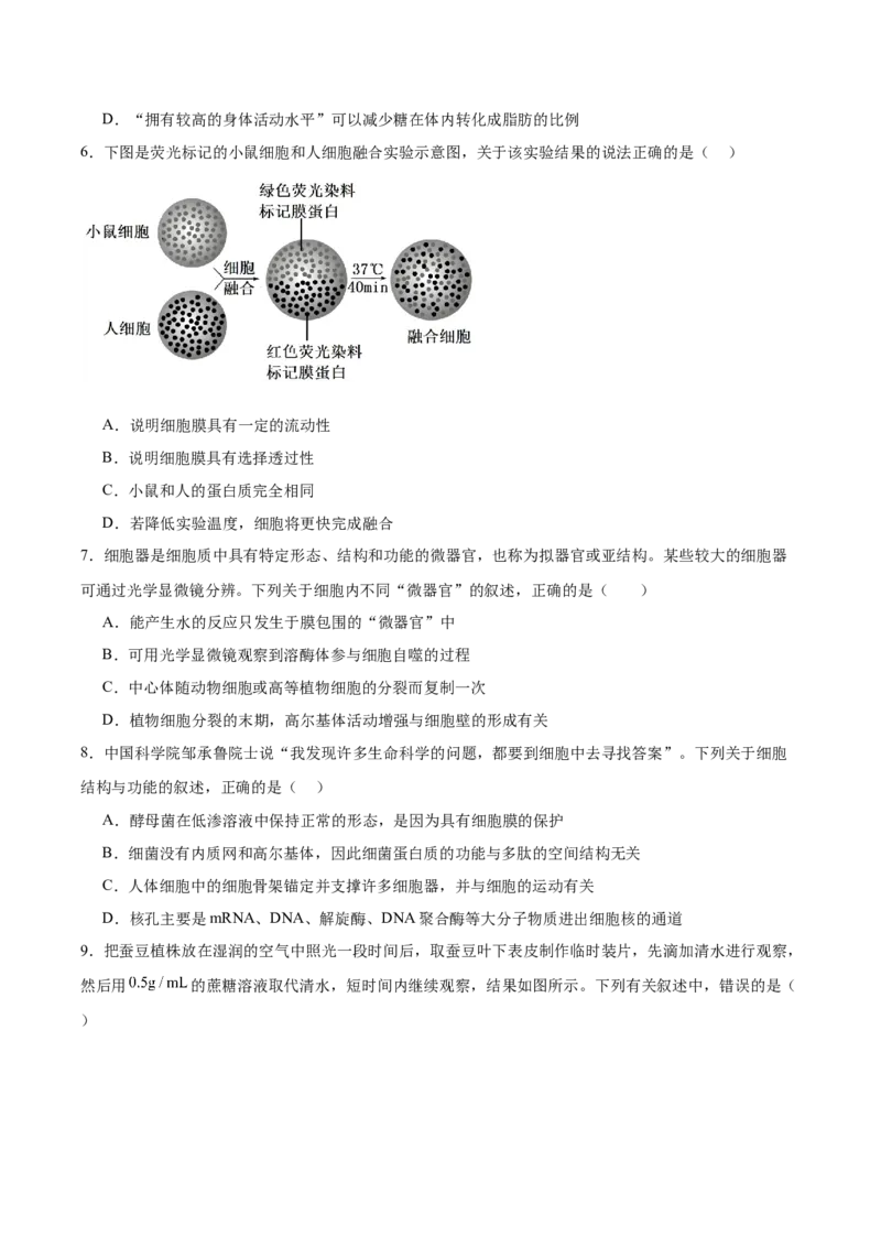 必修1模板检测卷（原卷版）_2025年新高考资料_一轮复习_2025年高考生物一轮复习考点通关卷（新高考通用）_必修1模板检测卷-2025年高考生物一轮复习考点通关卷（新高考通用）