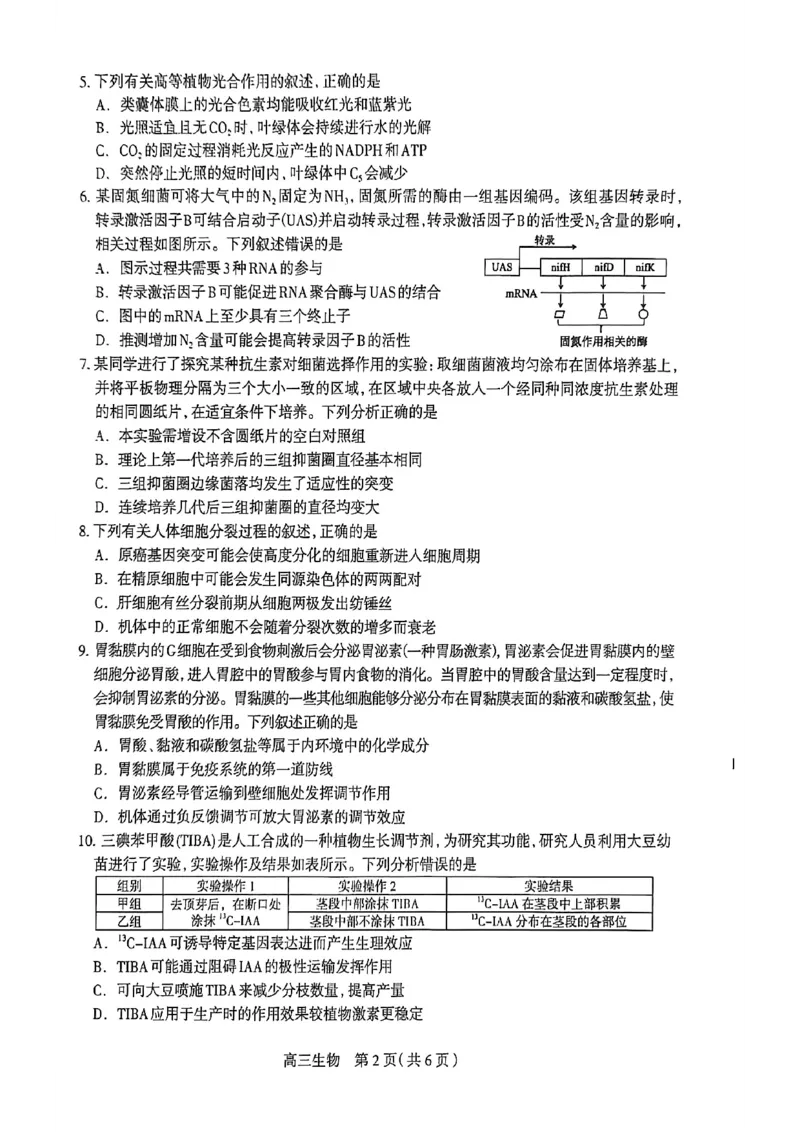 生物试卷_2024-2026高三（6-6月题库）_2026年03月高三试卷_260326河北石家庄2026届高三教学质量检测一（石家庄一模）（全科）_河北省石家庄市2026届高三一模考试生物试卷（含答案）