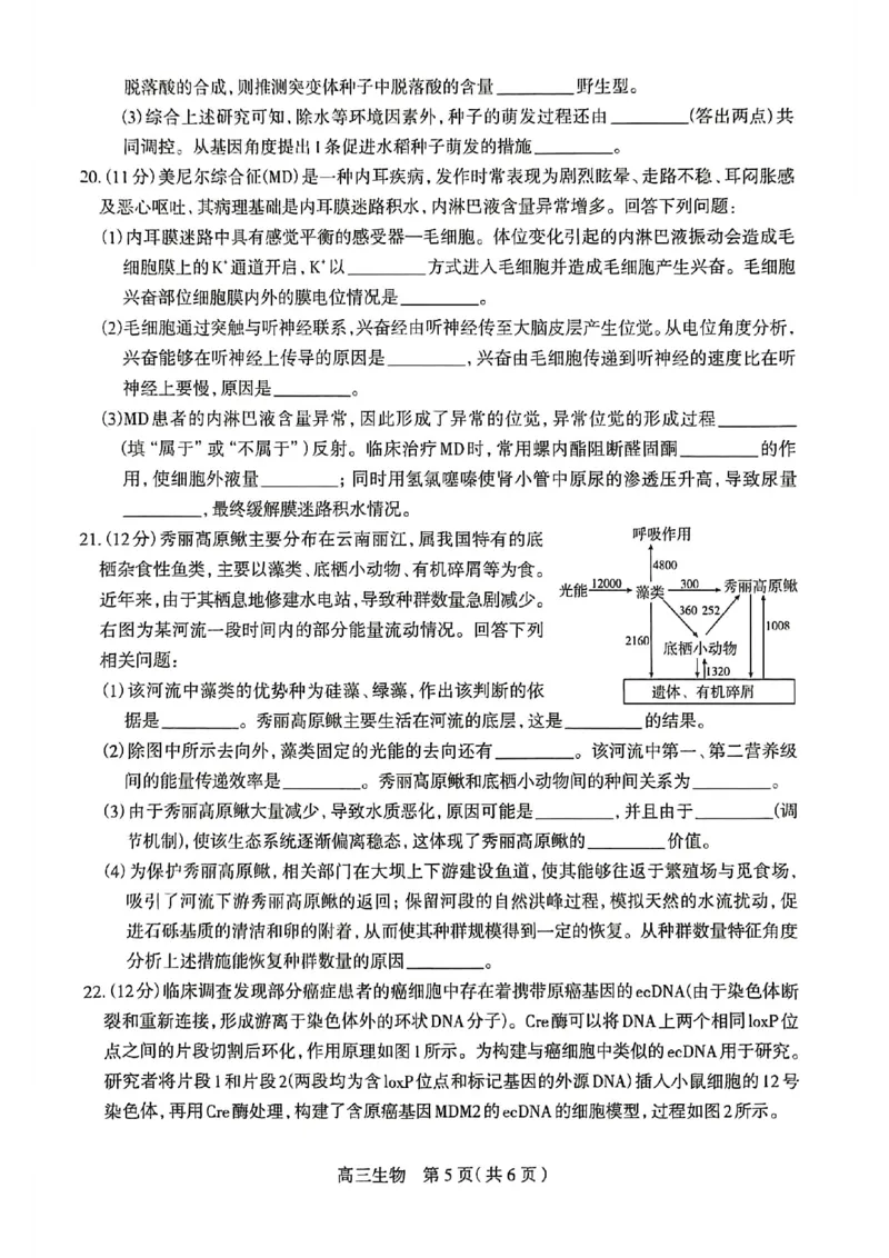 生物试卷_2024-2026高三（6-6月题库）_2026年03月高三试卷_260326河北石家庄2026届高三教学质量检测一（石家庄一模）（全科）_河北省石家庄市2026届高三一模考试生物试卷（含答案）