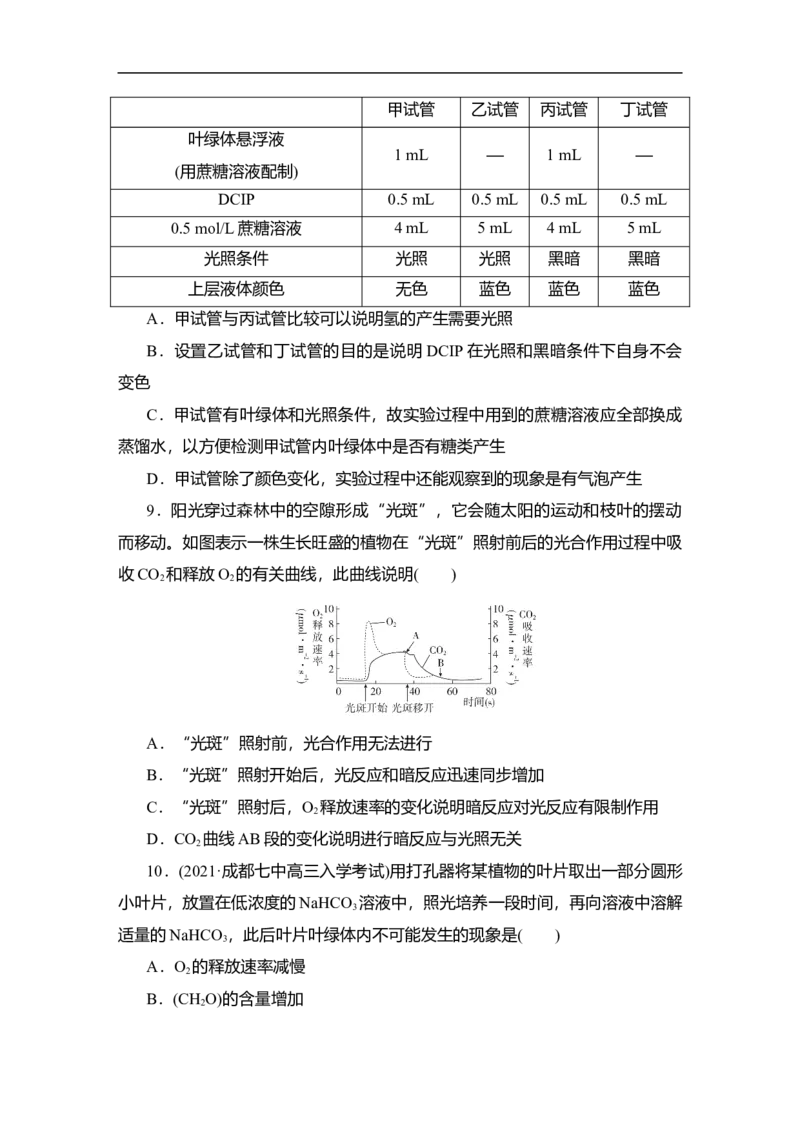 夯基提能练9光合作用-备战2023高考生物一轮复习夯基提能练（全国通用）（原卷版）_通用版（老高考）复习资料_2023年复习资料_一轮复习