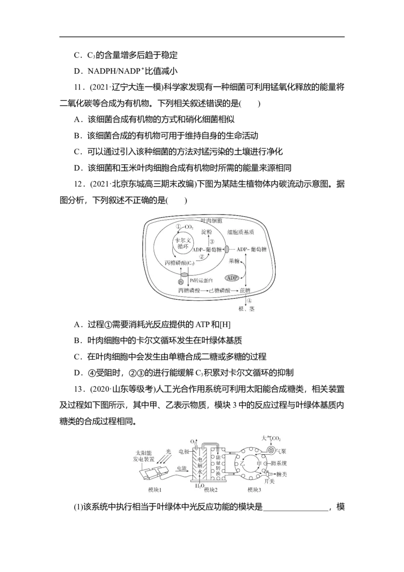 夯基提能练9光合作用-备战2023高考生物一轮复习夯基提能练（全国通用）（原卷版）_通用版（老高考）复习资料_2023年复习资料_一轮复习