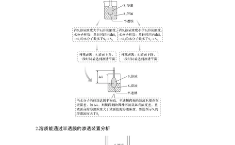 微专题2深度分析渗透作用装置图_通用版（老高考）复习资料_2023年复习资料_一轮复习_2023年高考生物一轮复习讲义+课件（全国版）_2023年高考生物一轮复习讲义（全国版）_赠补充习题