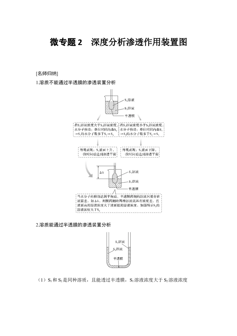微专题2深度分析渗透作用装置图_通用版（老高考）复习资料_2023年复习资料_一轮复习_2023年高考生物一轮复习讲义+课件（全国版）_2023年高考生物一轮复习讲义（全国版）_赠补充习题