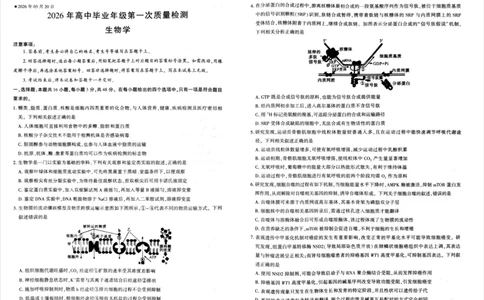 生物试题_2024-2026高三（6-6月题库）_2026年03月高三试卷_260321河南省2026年五市高三3月第一次质量检测（全科）_2026届河南高三五市一模质量监测生物
