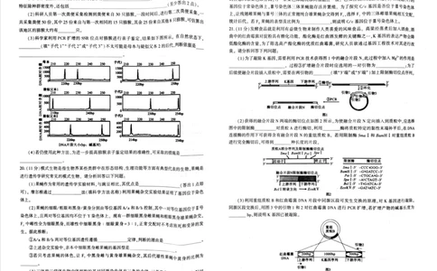 生物试题_2024-2026高三（6-6月题库）_2026年03月高三试卷_260321河南省2026年五市高三3月第一次质量检测（全科）_2026届河南高三五市一模质量监测生物