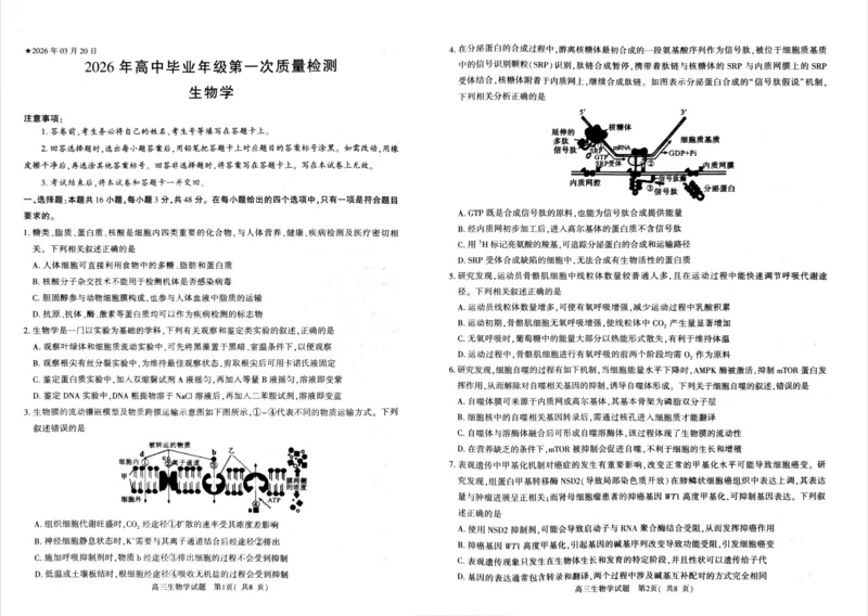 生物试题_2024-2026高三（6-6月题库）_2026年03月高三试卷_260321河南省2026年五市高三3月第一次质量检测（全科）_2026届河南高三五市一模质量监测生物