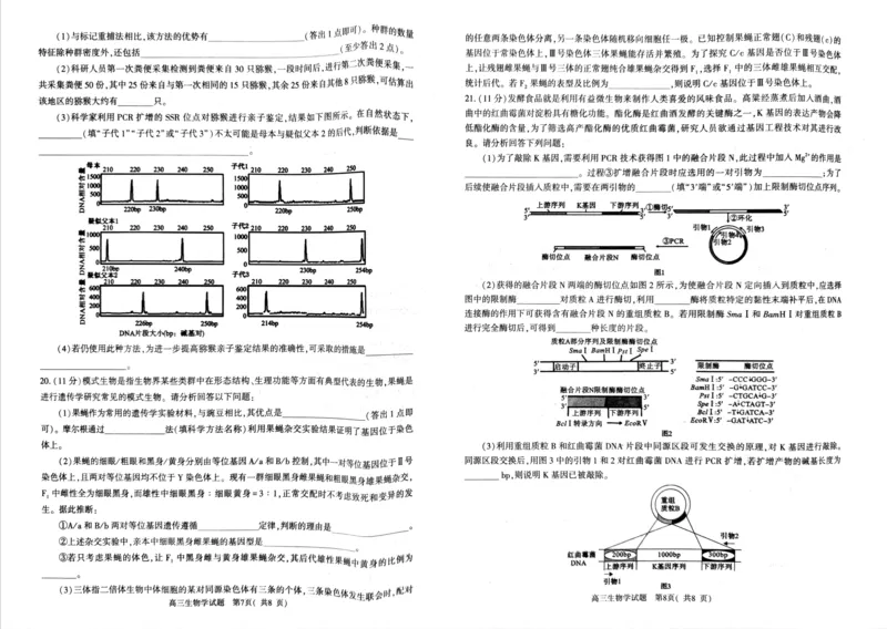 生物试题_2024-2026高三（6-6月题库）_2026年03月高三试卷_260321河南省2026年五市高三3月第一次质量检测（全科）_2026届河南高三五市一模质量监测生物