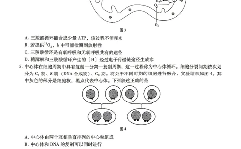 巴蜀中学2026届高考适应性月考卷（八）生物_2024-2026高三（6-6月题库）_2026年04月高三试卷_260420重庆市巴蜀中学2026届高考适应性月考卷（八）（全科）