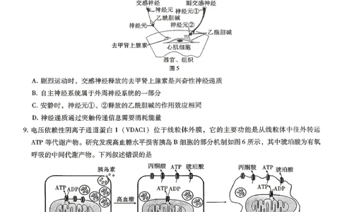 巴蜀中学2026届高考适应性月考卷（八）生物_2024-2026高三（6-6月题库）_2026年04月高三试卷_260420重庆市巴蜀中学2026届高考适应性月考卷（八）（全科）