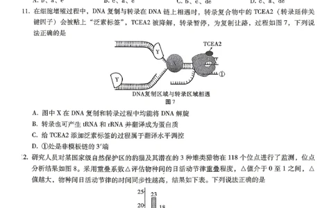 巴蜀中学2026届高考适应性月考卷（八）生物_2024-2026高三（6-6月题库）_2026年04月高三试卷_260420重庆市巴蜀中学2026届高考适应性月考卷（八）（全科）