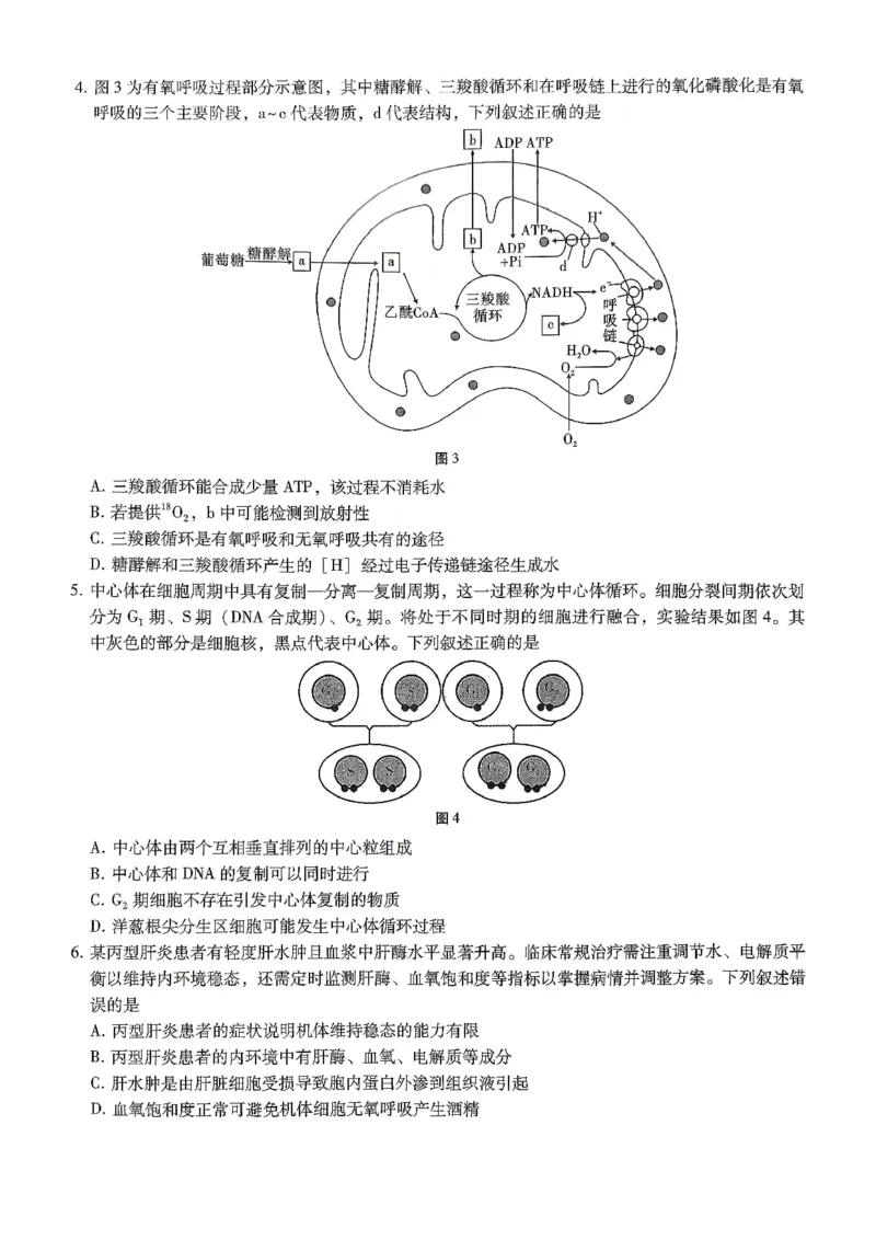 巴蜀中学2026届高考适应性月考卷（八）生物_2024-2026高三（6-6月题库）_2026年04月高三试卷_260420重庆市巴蜀中学2026届高考适应性月考卷（八）（全科）