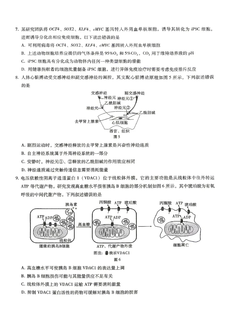 巴蜀中学2026届高考适应性月考卷（八）生物_2024-2026高三（6-6月题库）_2026年04月高三试卷_260420重庆市巴蜀中学2026届高考适应性月考卷（八）（全科）