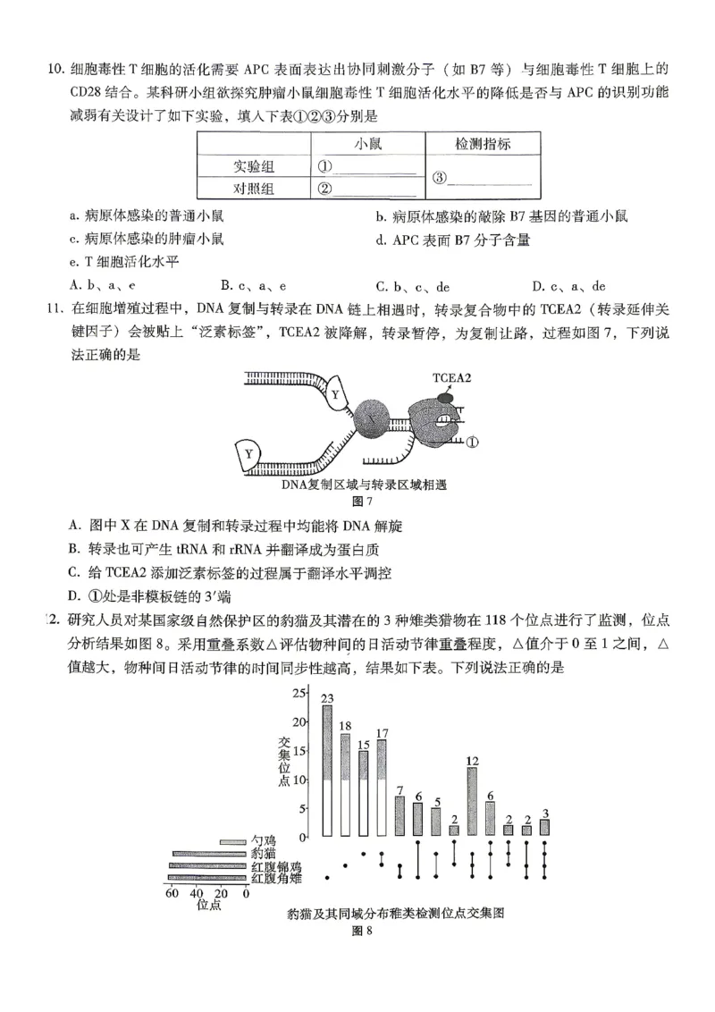 巴蜀中学2026届高考适应性月考卷（八）生物_2024-2026高三（6-6月题库）_2026年04月高三试卷_260420重庆市巴蜀中学2026届高考适应性月考卷（八）（全科）