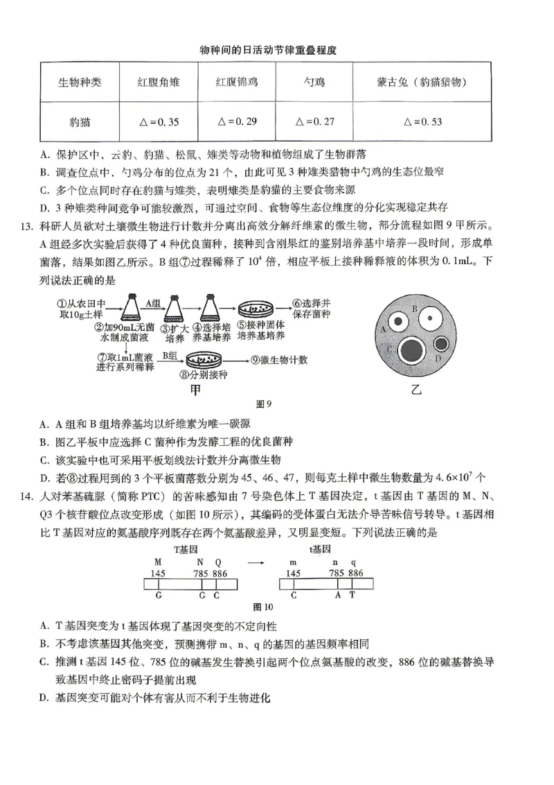 巴蜀中学2026届高考适应性月考卷（八）生物_2024-2026高三（6-6月题库）_2026年04月高三试卷_260420重庆市巴蜀中学2026届高考适应性月考卷（八）（全科）