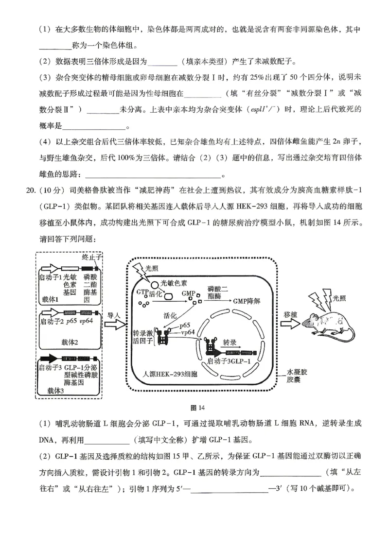 巴蜀中学2026届高考适应性月考卷（八）生物_2024-2026高三（6-6月题库）_2026年04月高三试卷_260420重庆市巴蜀中学2026届高考适应性月考卷（八）（全科）