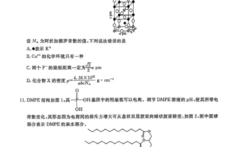 辽宁名校联盟2026届高三下学期3月模拟考试化学试题_2024-2026高三（6-6月题库）_2026年03月高三试卷_250309辽宁省名校联盟2025-2026学年高三下3月模拟考试（全科）