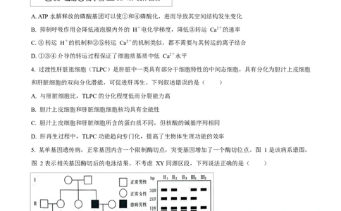生物试题（原卷版）_2024-2026高三（6-6月题库）_2026年03月高三试卷_260323山东2026届九五协作体高三下学期3月学习质量评估（全科）
